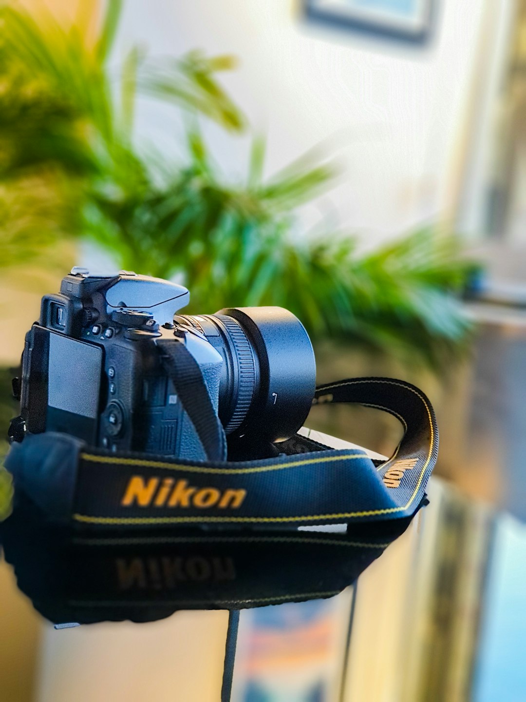 Essential Gear for Landscape Photography
